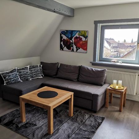 Schoene Ferienwohnung Fuer 6 Personen Erwartet Sie Im Oberharz Sankt Andreasberg Exterior photo