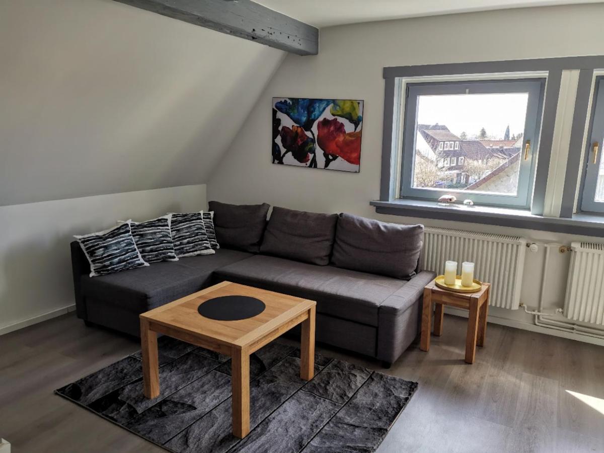 Schoene Ferienwohnung Fuer 6 Personen Erwartet Sie Im Oberharz Sankt Andreasberg Exterior photo